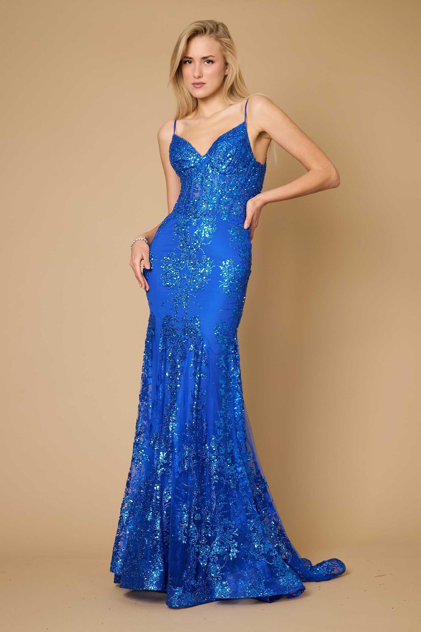 Dylan & Davids DD1238 Fitted Corset Long Formal Prom Dress