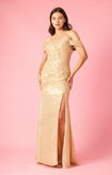 Formal Dresses Long Mermaid Sequin Formal Party Dress Gold