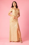 Formal Dresses Long Mermaid Sequin Formal Party Dress Gold