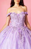 Quinceniera Dresses Long Ball Gown Quinceanera Floral Dress Lilac