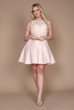 Dylan & Davids #DDQQ8001 Short Homecoming Formal Prom Dress